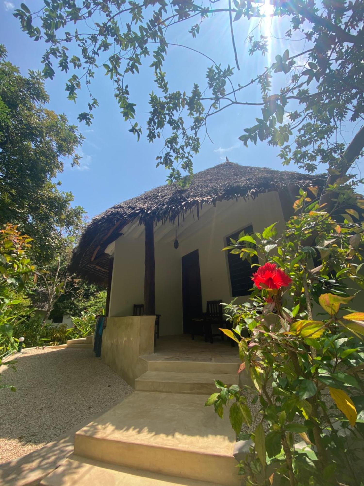 Mangrove Lodge Zanzibar Exterior photo