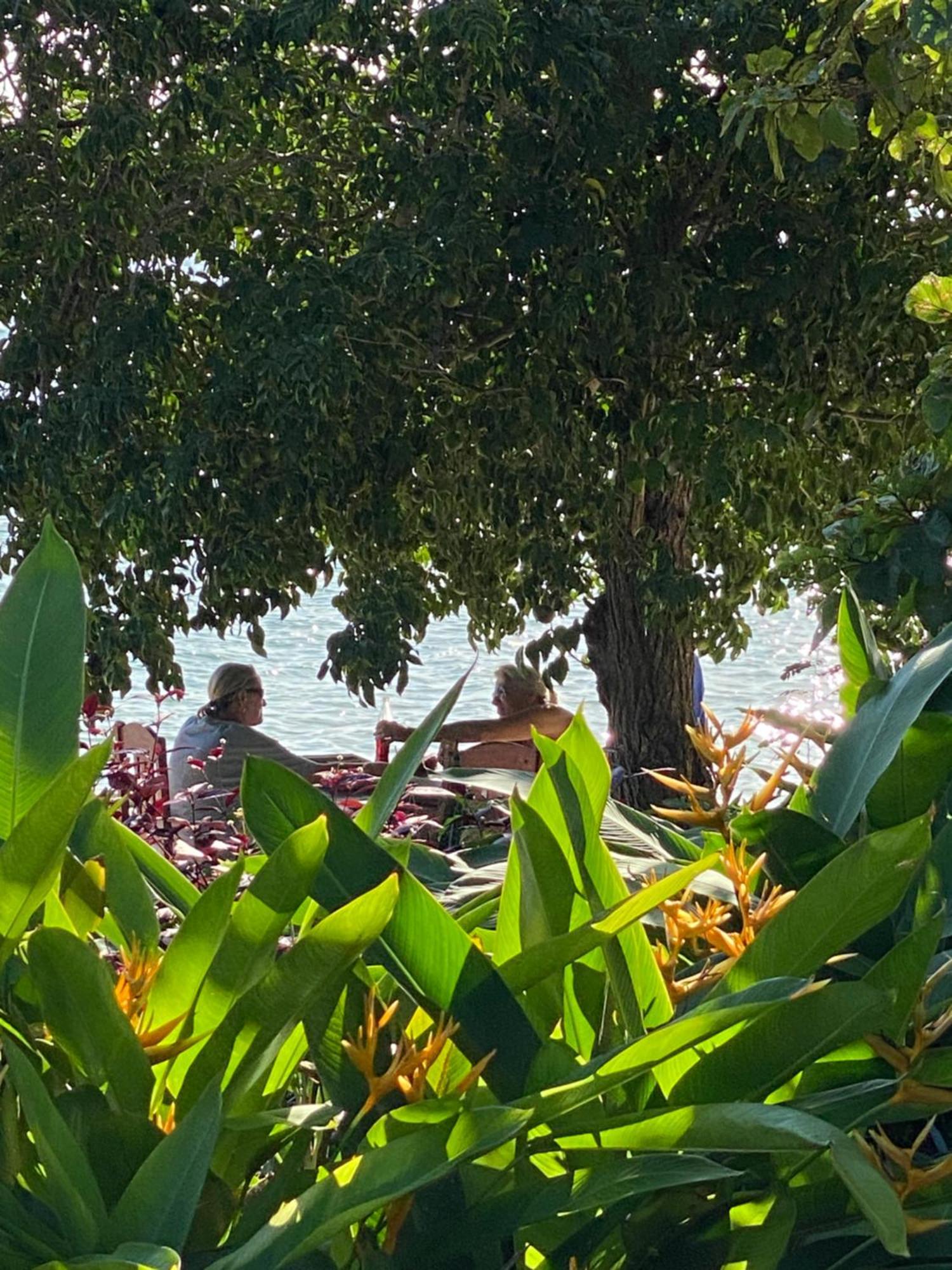 Mangrove Lodge Zanzibar Exterior photo