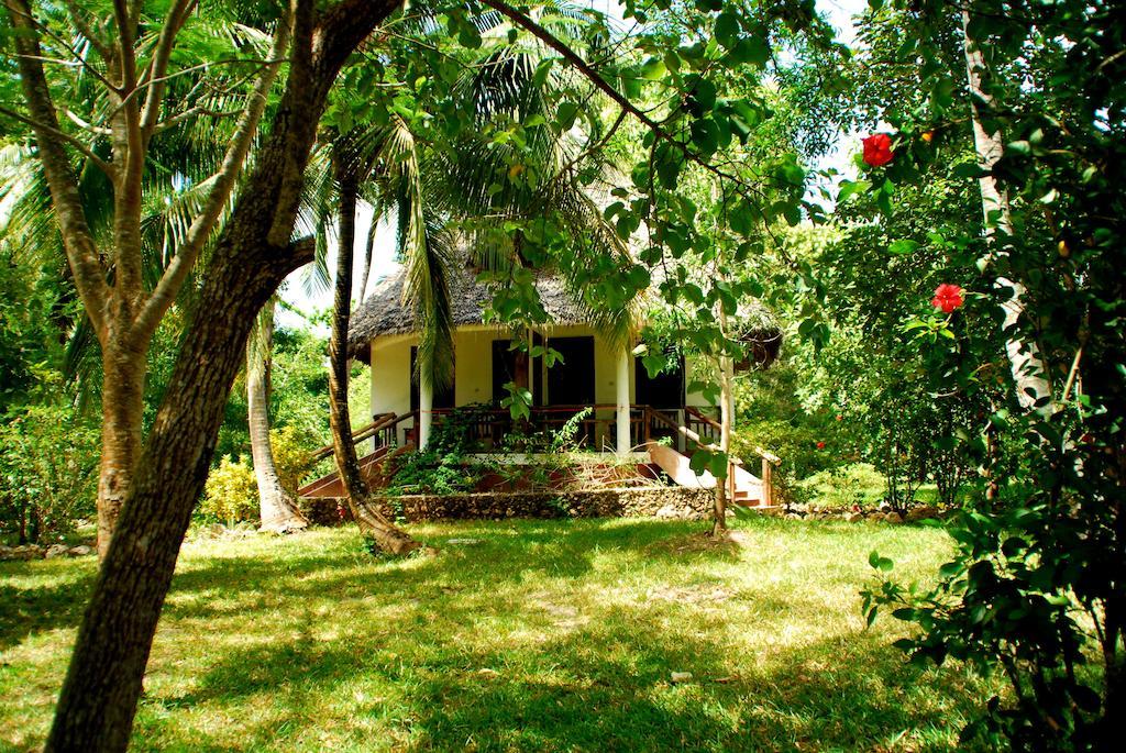 Mangrove Lodge Zanzibar Room photo
